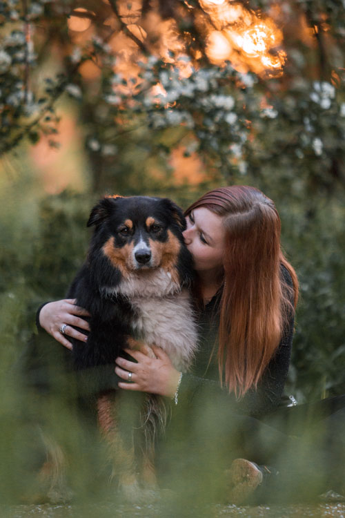 Mädchen küsst Hund im Sonnenuntergang, Magdeburg